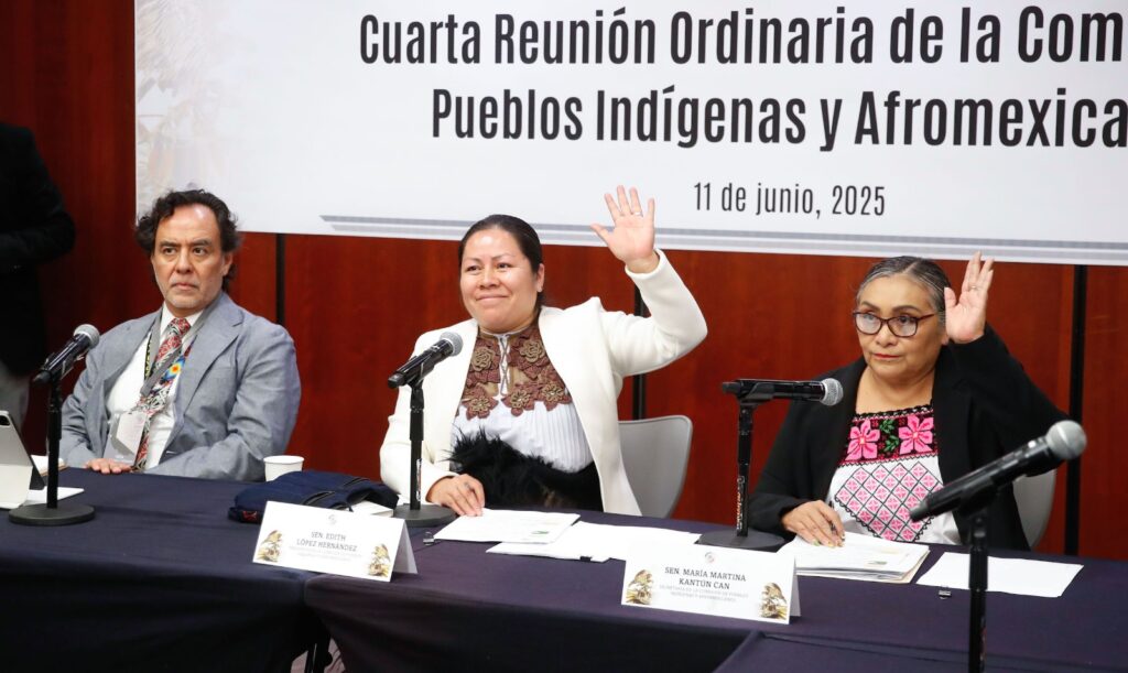 Senado concluye proyecto de ley para reconocer derechos de pueblos indígenas y afromexicanos