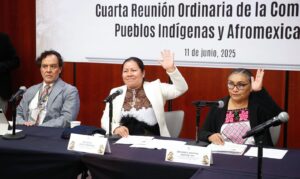 Senado concluye proyecto de ley para reconocer derechos de pueblos indígenas y afromexicanos