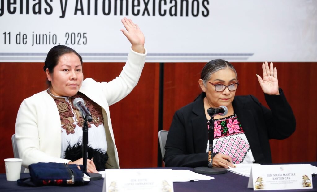 Senado concluye proyecto de ley para reconocer derechos de pueblos indígenas y afromexicanos