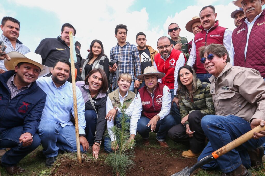 Edoméx plantará 6 millones de árboles para restaurar bosques y cuencas