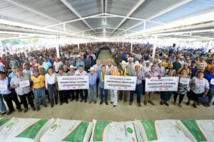 Fiscal Llaven Abarca