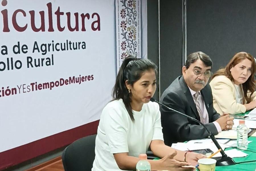 Planta de cría de moscas ayudará al combate del gusano barrenador