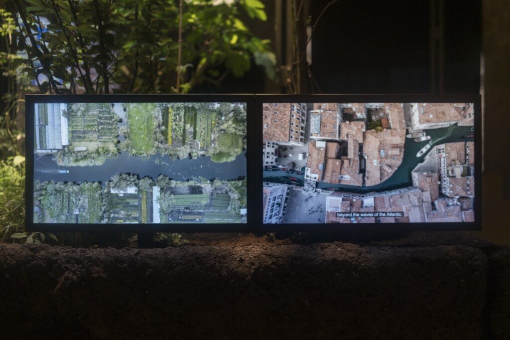 Chinampa Veneta, de Venecia a Bellas Artes