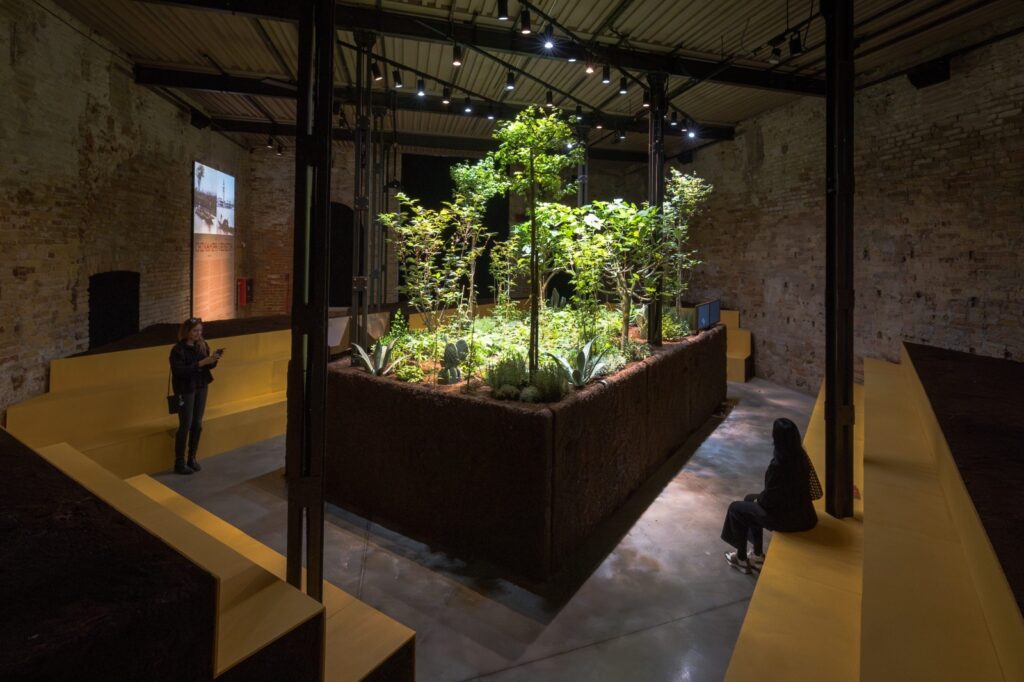 Chinampa Veneta, de Venecia a Bellas Artes