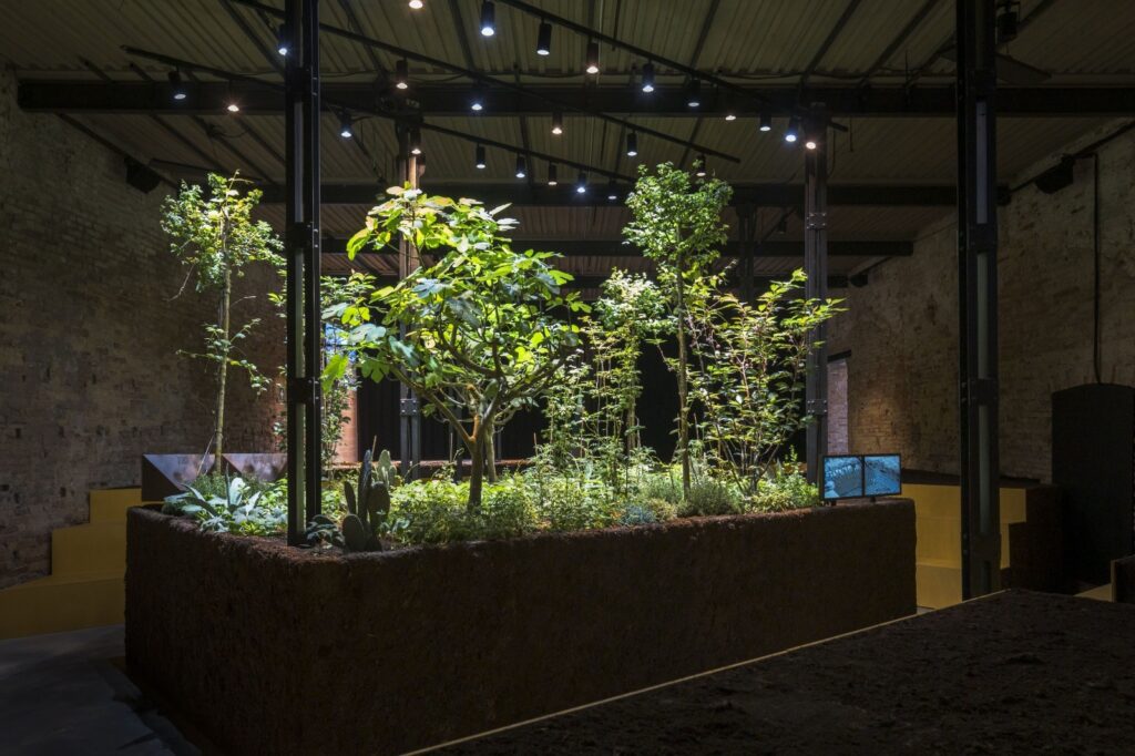 Chinampa Veneta, de Venecia a Bellas Artes