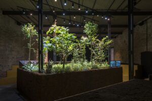 Chinampa Veneta, de Venecia a Bellas Artes