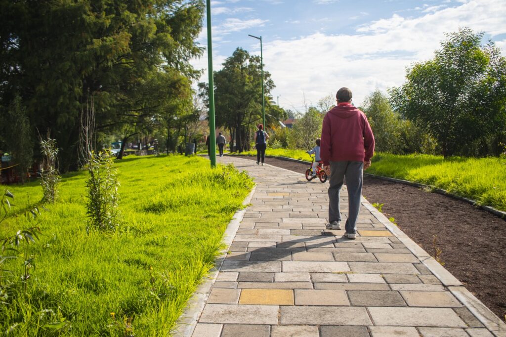 Invitan a reforestar Xochimilco cada jueves de julio y agosto