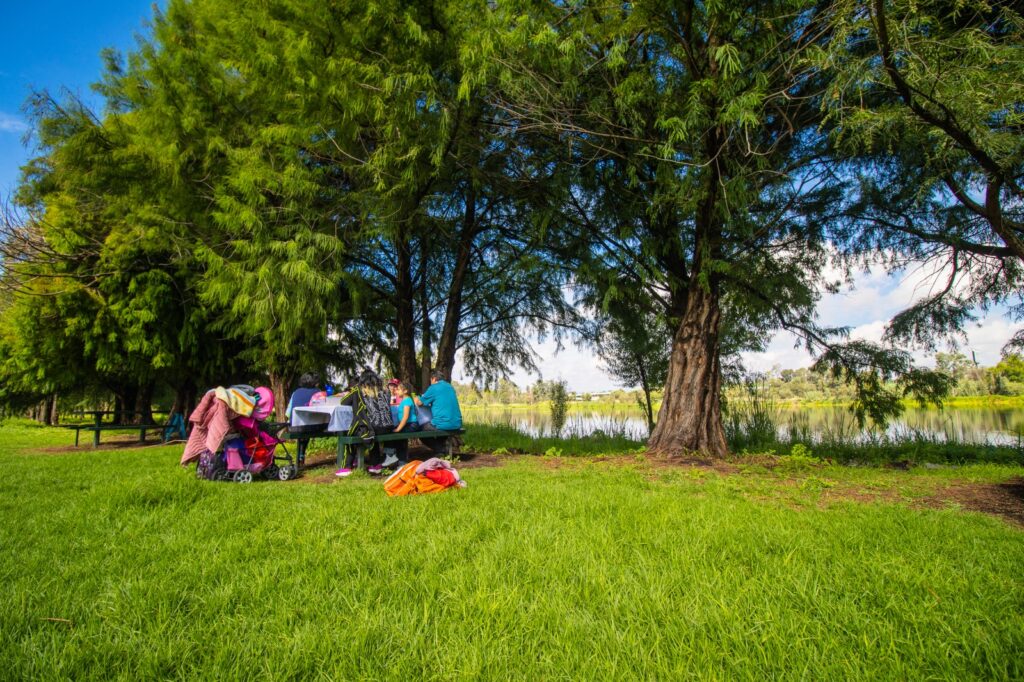 Invitan a reforestar Xochimilco cada jueves de julio y agosto