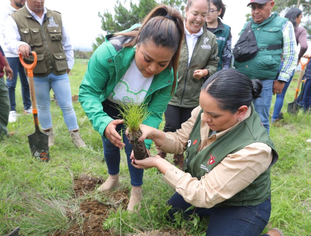 Inicia Edoméx restauración forestal en la zona oriente