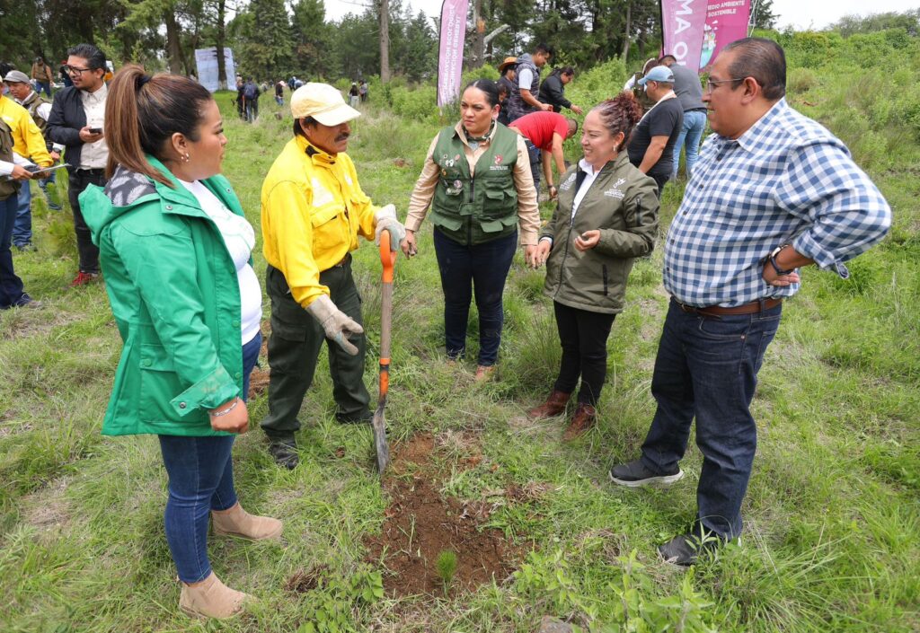 Inicia Edoméx restauración forestal en la zona oriente