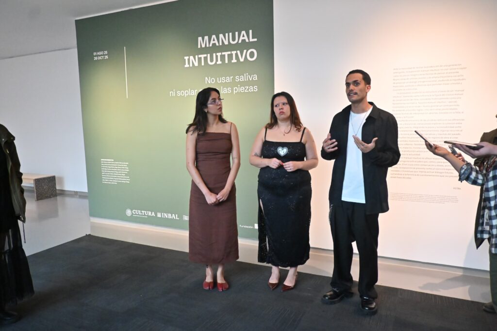 Arte joven y crítica museística en el Carrillo Gil