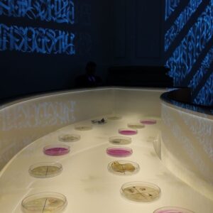 Said Dokins activa el IGLÚ del Laboratorio Arte Alameda