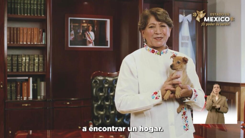 Delfina Gómez resalta acciones ambientales y de bienestar animal