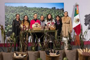 Presidencia de la República