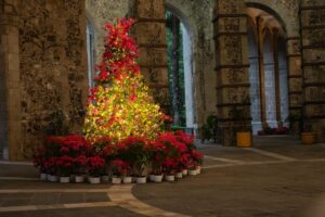 Sheinbaum envía mensaje navideño de unidad nacional