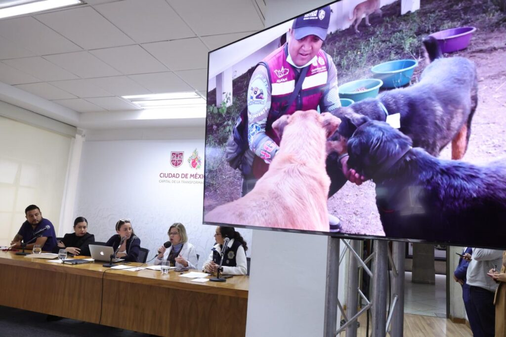 Gobierno CDMX informa sobre salud de 858 perros en Cuajimalpa