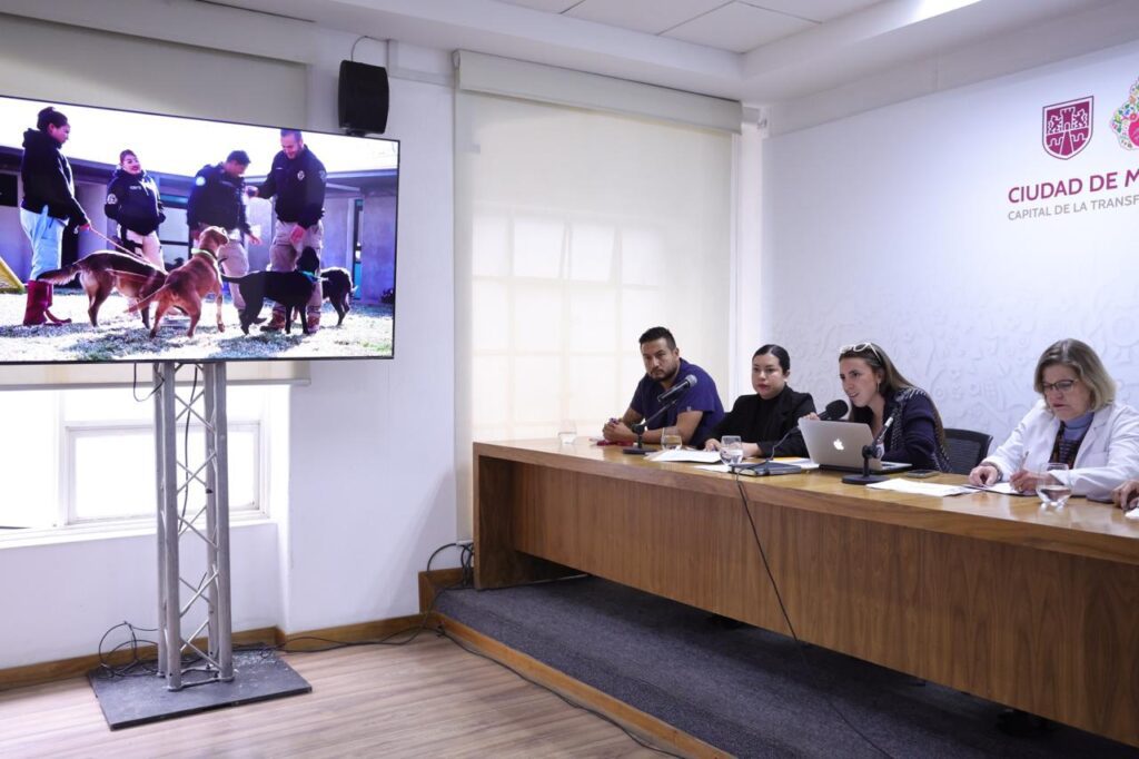 Gobierno CDMX informa sobre salud de 858 perros en Cuajimalpa