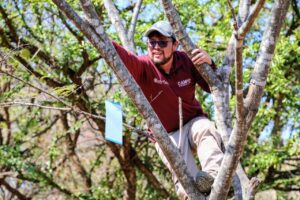 Gobierno Edoméx refuerza contención del Gusano Barrenador