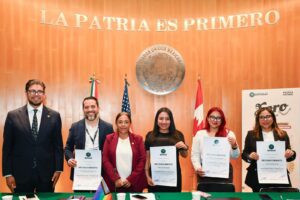 Acciones afirmativas, eje de la reforma electoral
