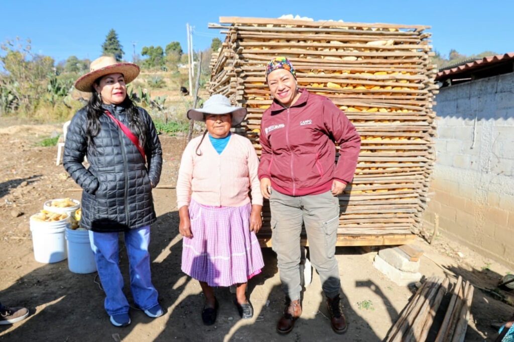 Impulsan preservación del maíz criollo en el Edoméx