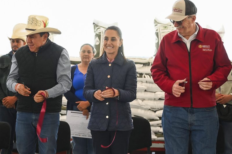 México logra autosuficiencia en frijol: Sheinbaum