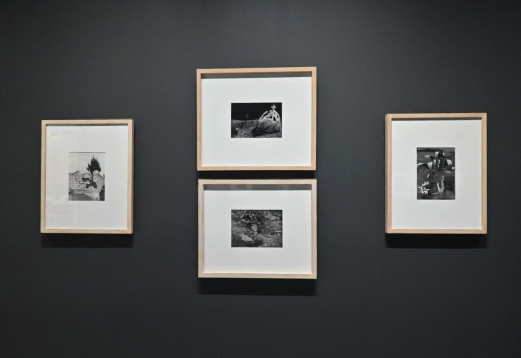 Álvarez Bravo y la memoria en el Museo de Arte Moderno