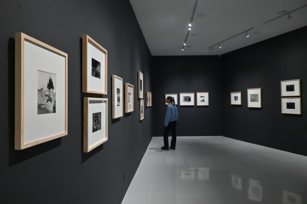 Álvarez Bravo y la memoria en el Museo de Arte Moderno