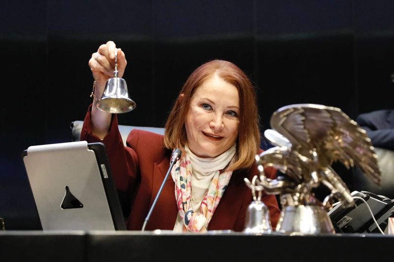 Senado analizará relevo en la Cancillería