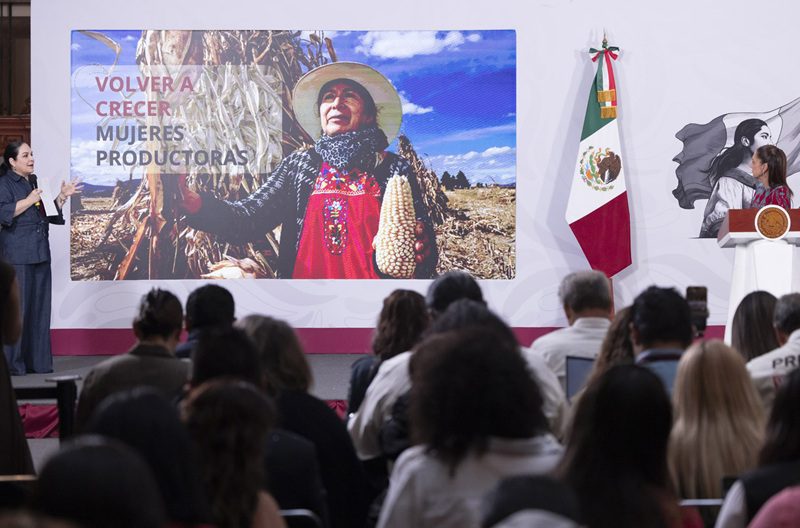 Sheinbaum condona deudas a productores