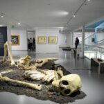 MACG despide exposiciones de arte contemporáneo