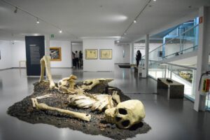 MACG despide exposiciones de arte contemporáneo