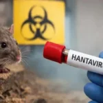 Españoles con hantavirus irían a cuarentena voluntaria