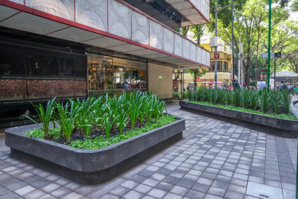 Zona Rosa renace con nueva imagen urbana