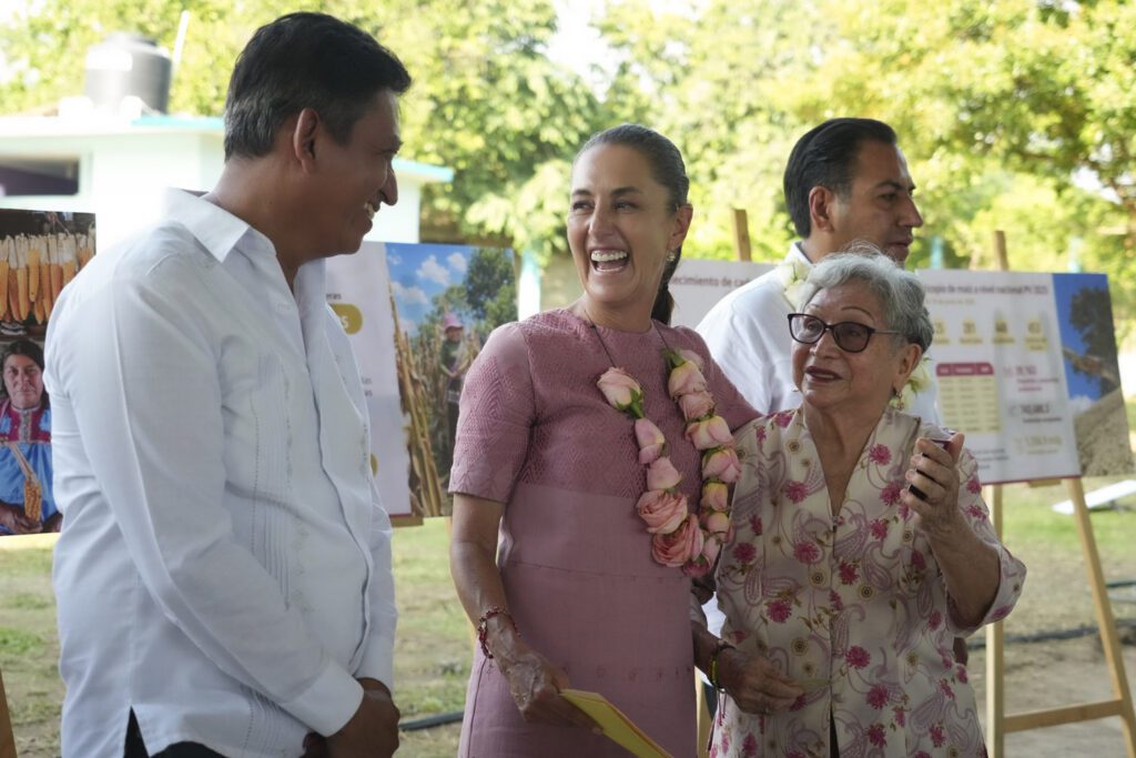 Sheinbaum impulsa soberanía con maíz nativo