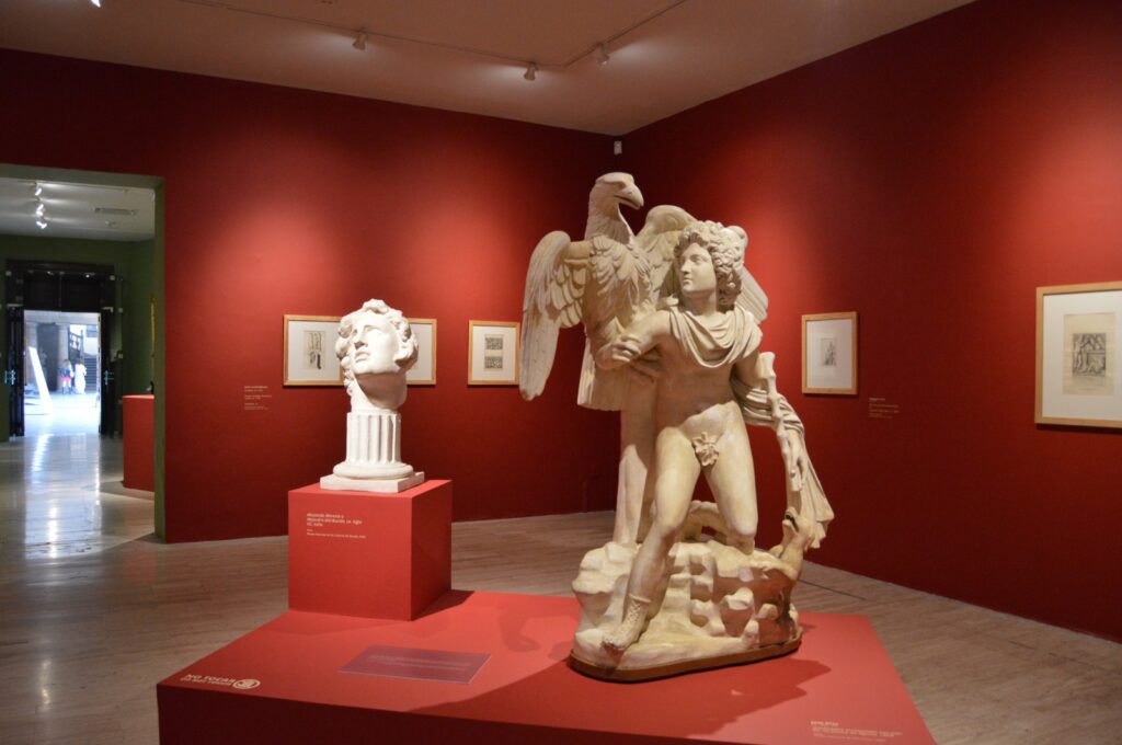 Museo de San Carlos revisita el ideal del cuerpo heroico