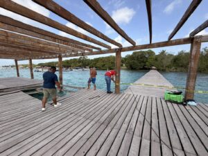 Bacalar