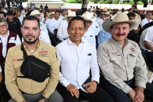 Fiscal Llaven Abarca
