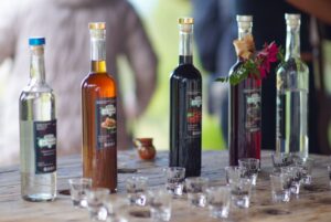 Impulsan Ruta del Mezcal y de la Flor en Edoméx