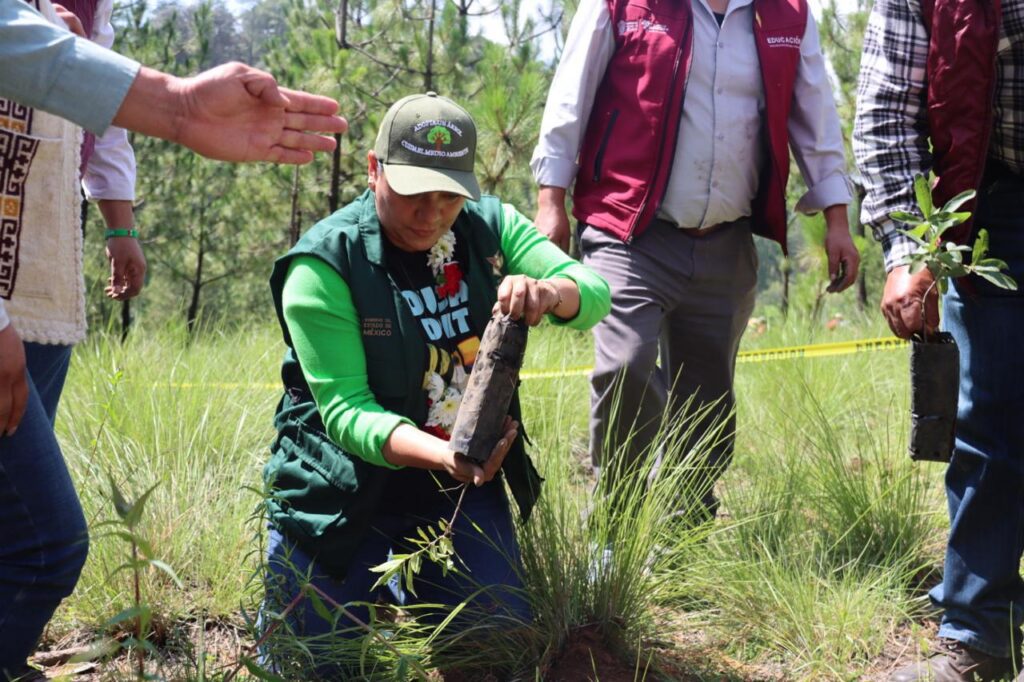 Edomex inicia programa para restaurar bosques y áreas protegidas