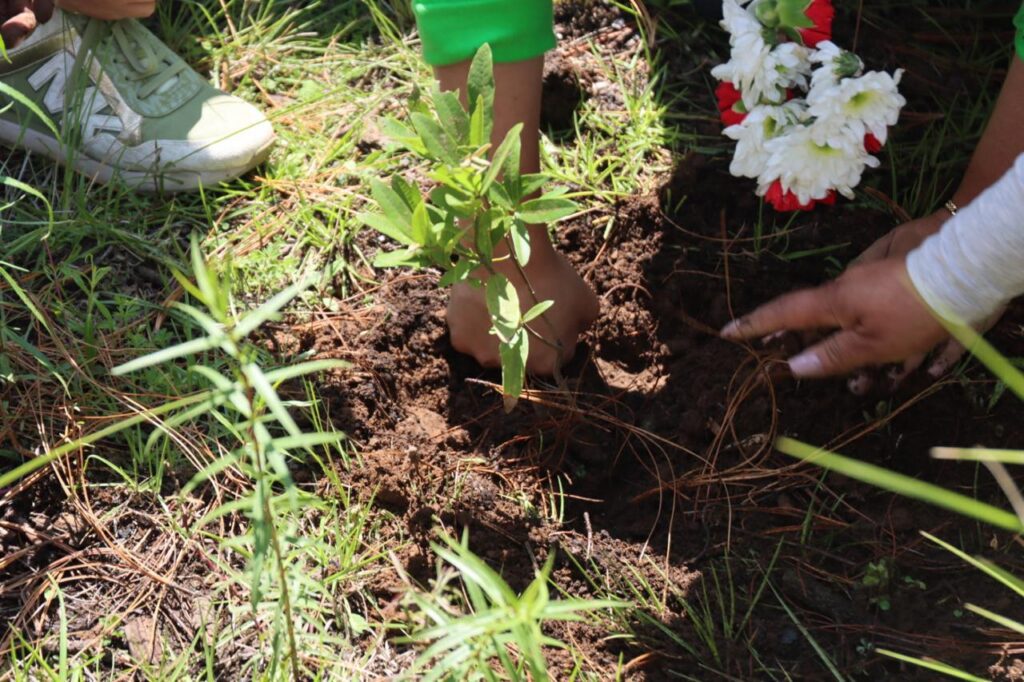 Edomex inicia programa para restaurar bosques y áreas protegidas