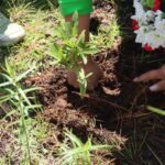 Edomex inicia programa para restaurar bosques y áreas protegidas