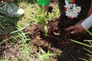 Edomex inicia programa para restaurar bosques y áreas protegidas