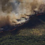 España enfrenta incendios históricos: más de 85 mil hectáreas arrasadas