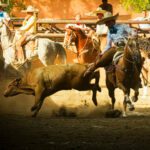 PEPE AGUILAR ORGULLOSO DE SU OTRO AMOR, SU EQUIPO ECUESTRE.