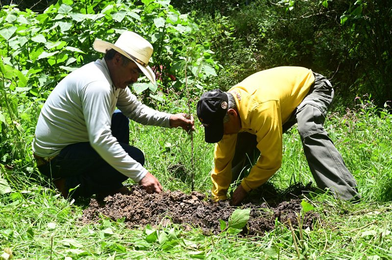 Estado de México restaura bosques para proteger ríos y acuíferos