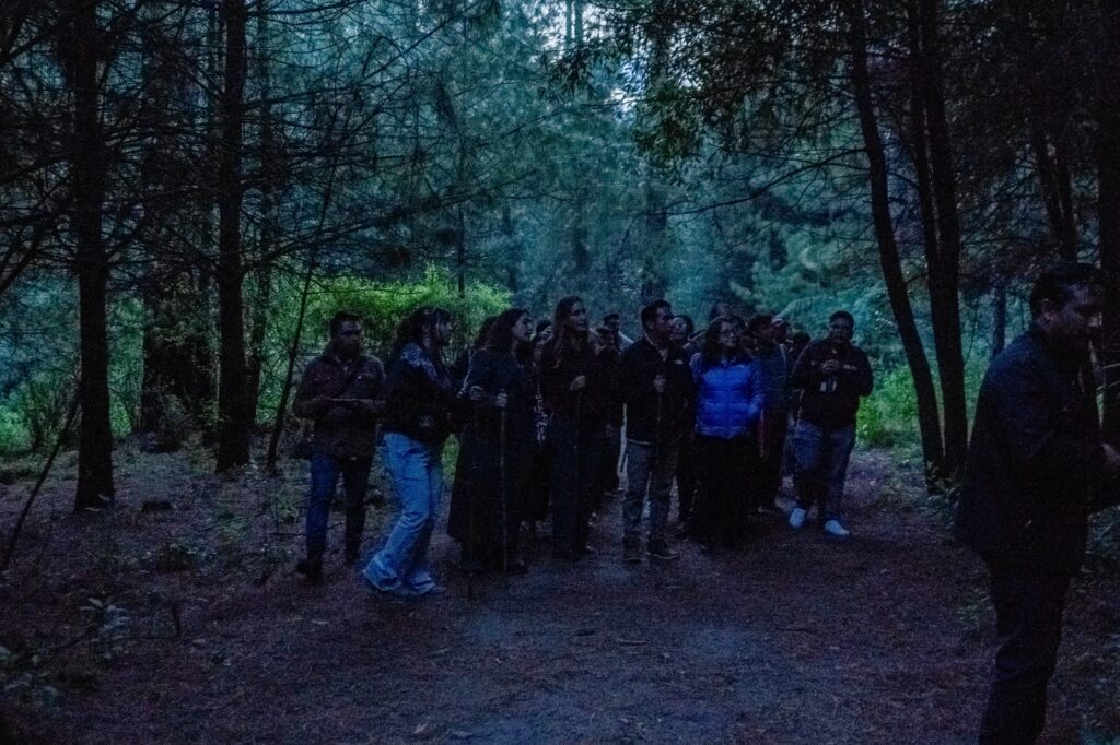Festival de Luciérnagas reunió a 57 mil visitantes