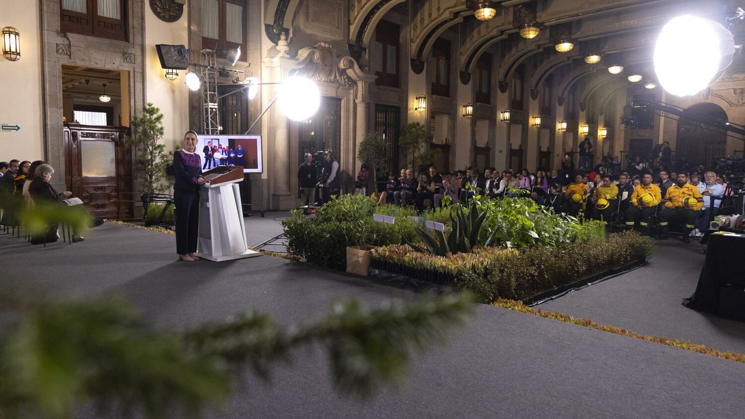 En jornada de Reforestación se plantarán 6.6 millones de árboles