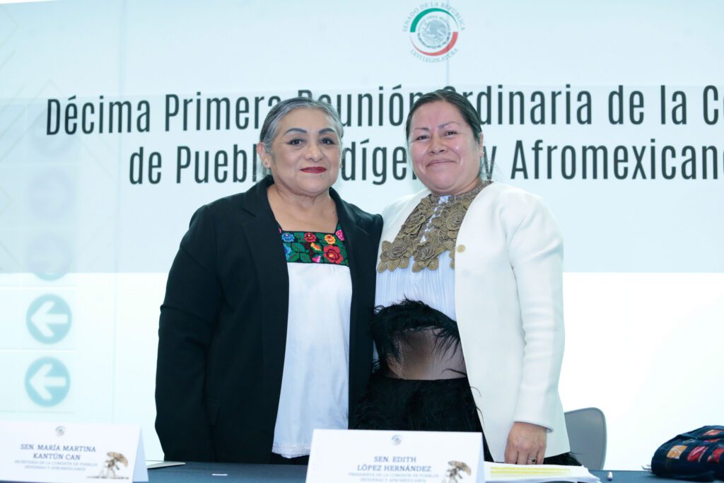 Avanza consulta sobre derechos indígenas y afromexicanos