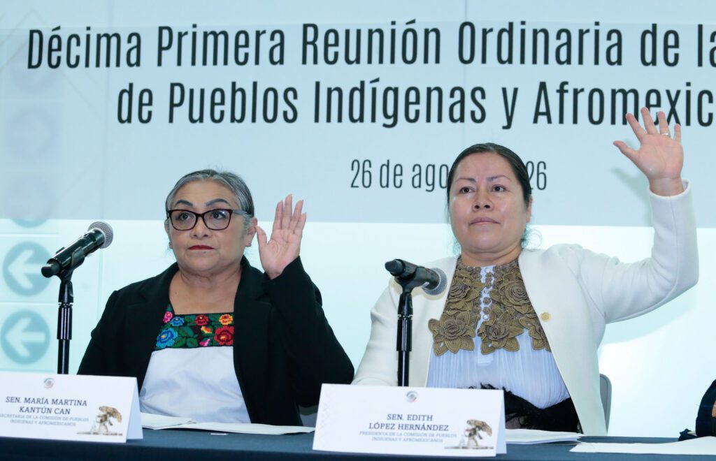 Avanza consulta sobre derechos indígenas y afromexicanos