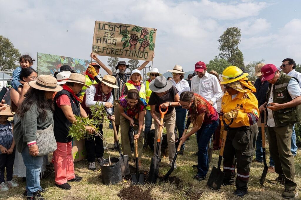 Reforestación Urbana en la CDMX plantará 500 mil árboles